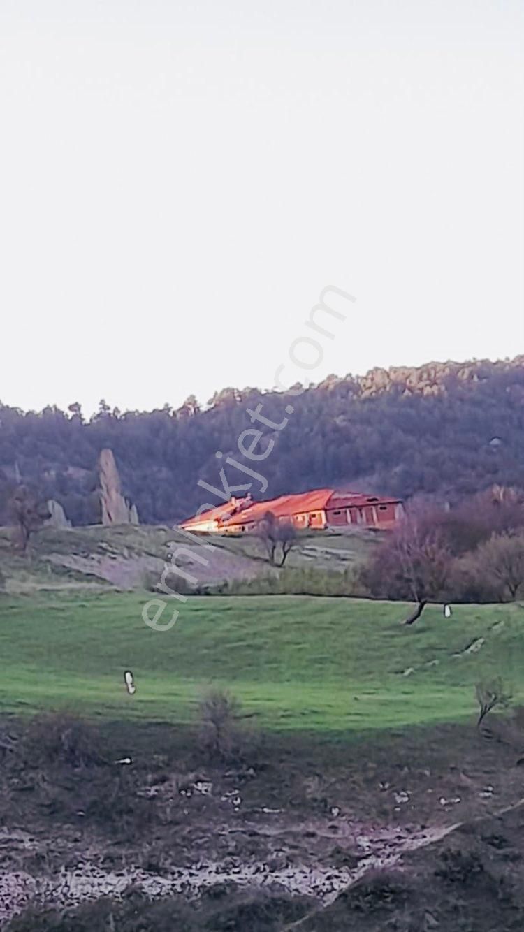 Sahibinden Satılık Köyiçi