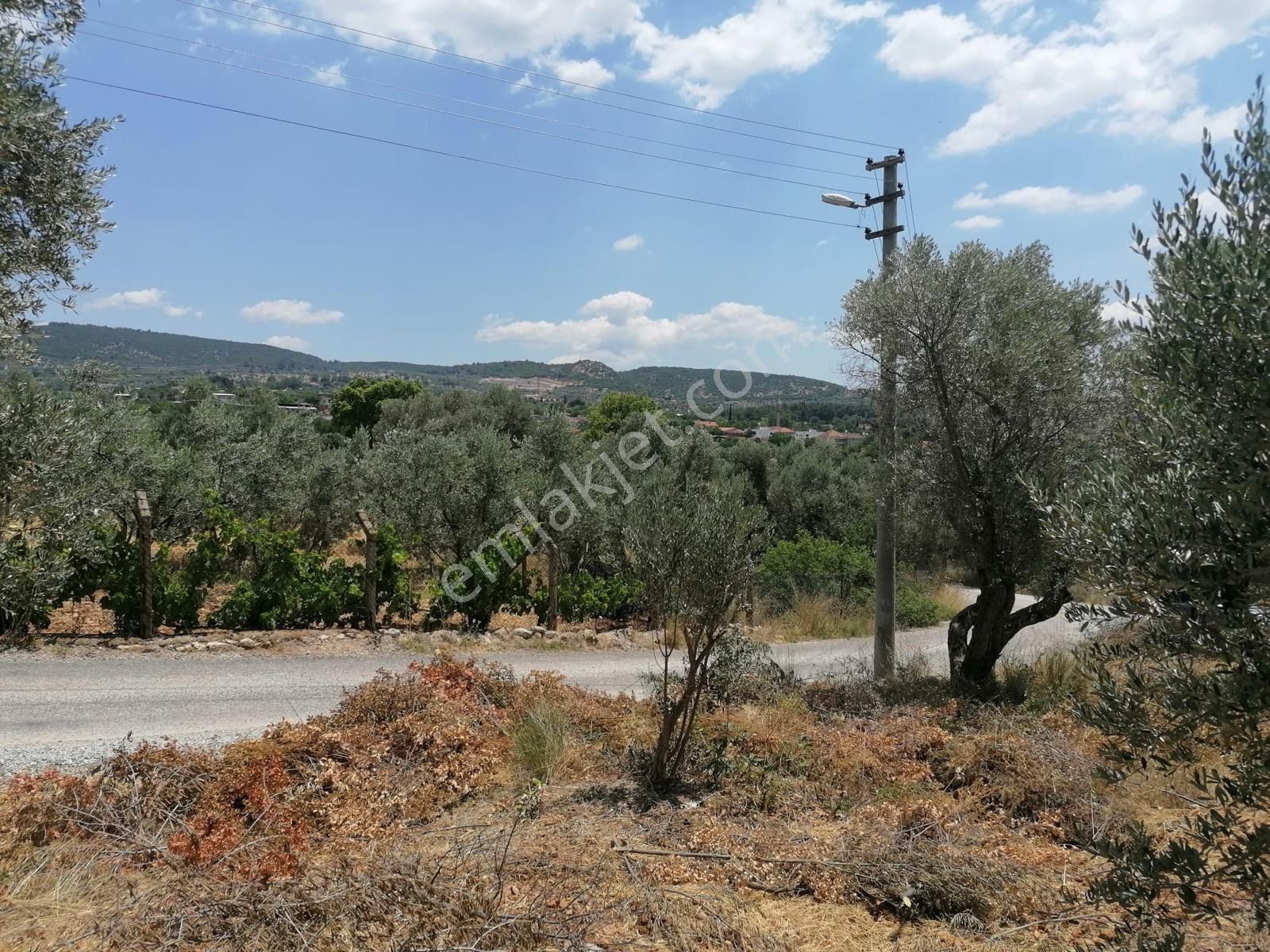 İzmir Buca Da Elektrik Ve Su Bulunan Numaratajı Akınmış Satılık Köşe Bahçe - Görsel 7