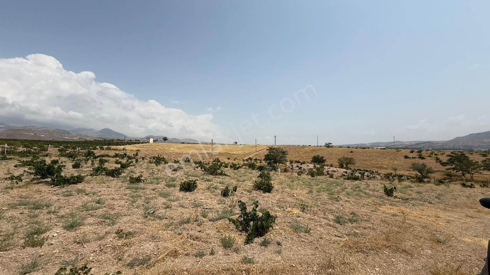Öz Gaye Emlaktan Develi Reşadiye Mahallesi Güzelce Mevkiinde Satılık Bağ - Görsel 3