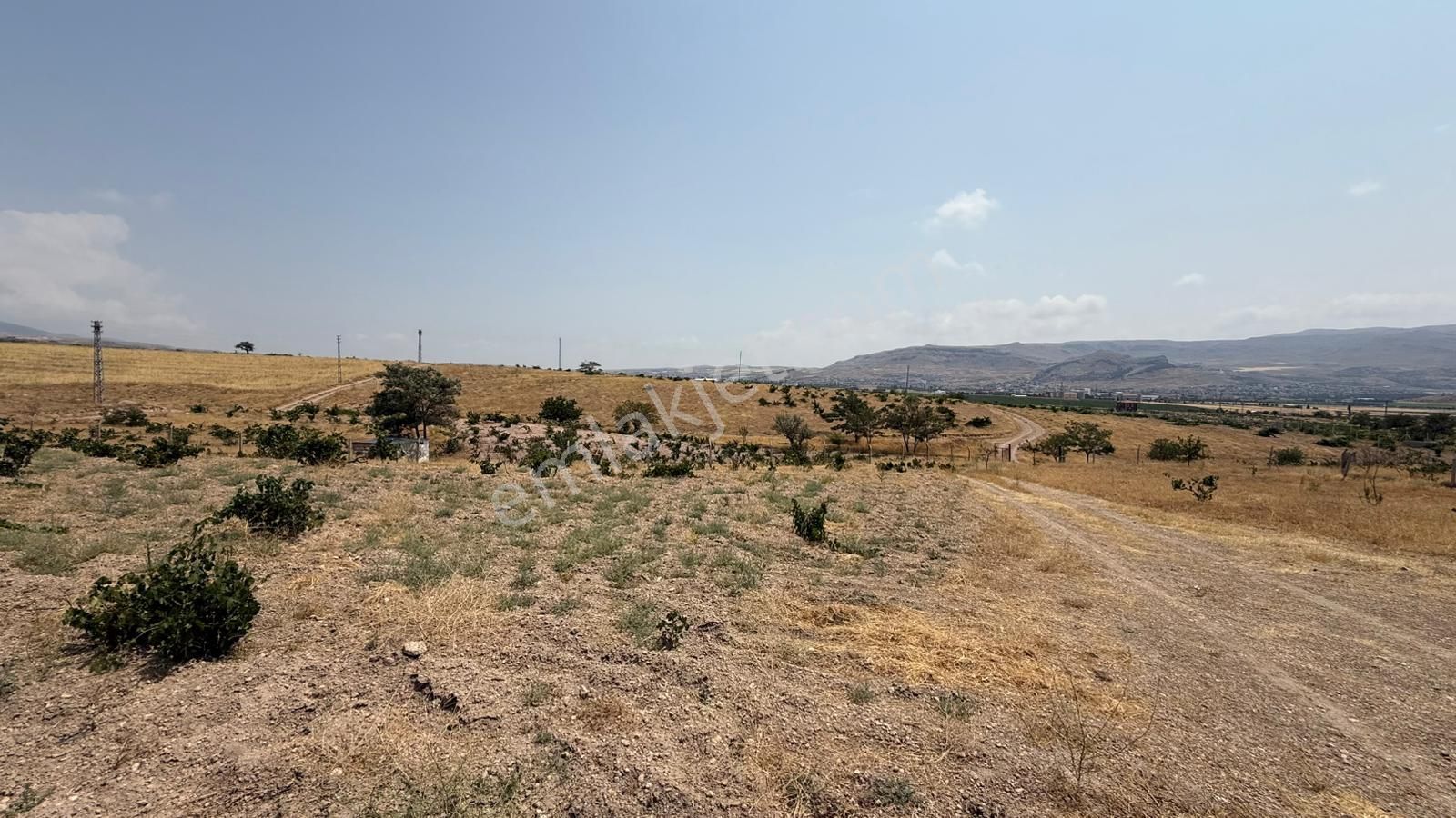 Öz Gaye Emlaktan Develi Reşadiye Mahallesi Güzelce Mevkiinde Satılık Bağ - Görsel 7