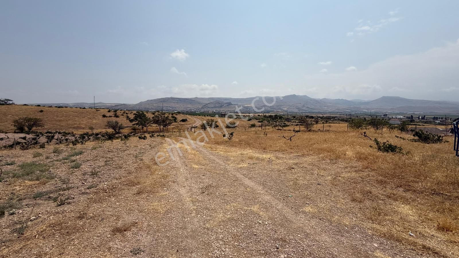 Öz Gaye Emlaktan Develi Reşadiye Mahallesi Güzelce Mevkiinde Satılık Bağ - Görsel 5