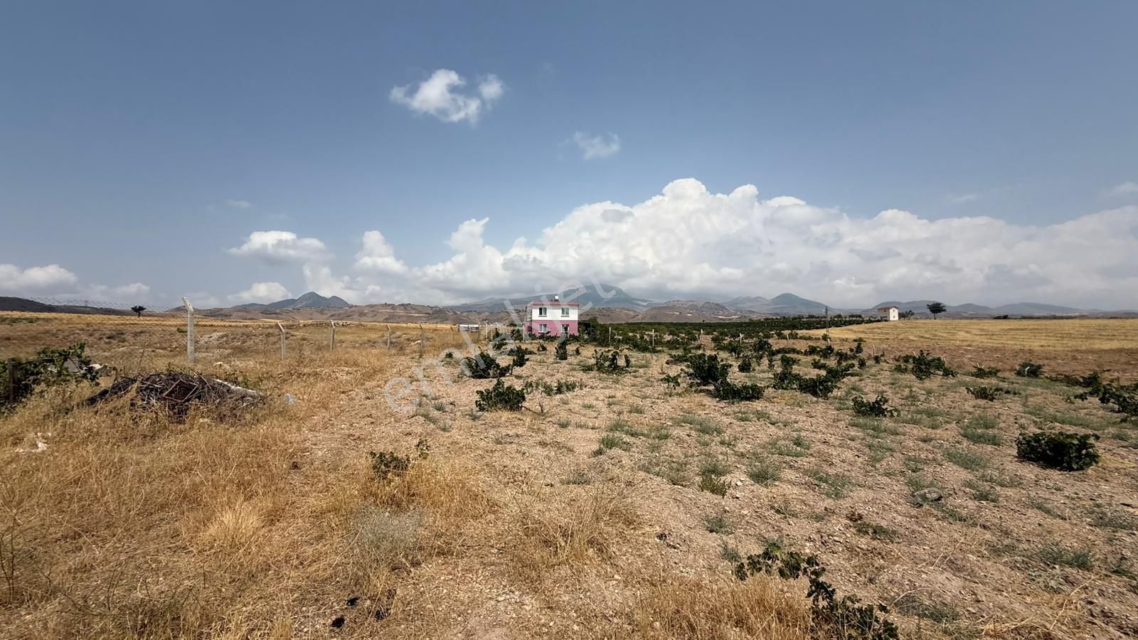 Öz Gaye Emlaktan Develi Reşadiye Mahallesi Güzelce Mevkiinde Satılık Bağ