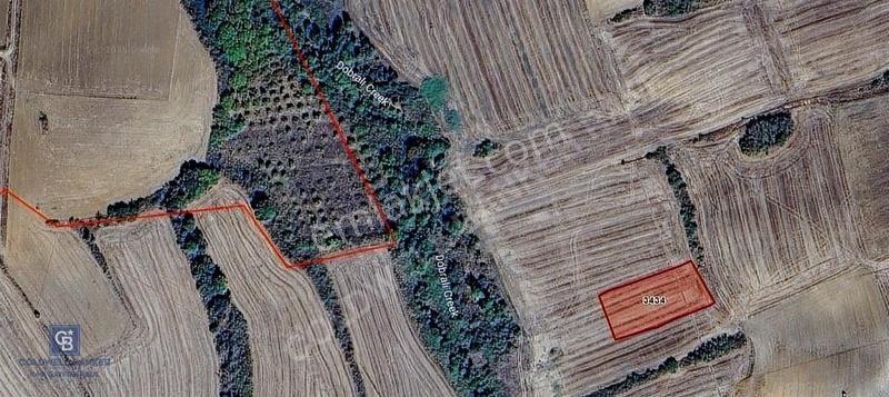 Edirne Uzun Köprü Yeniköy'de Satılık Tek Tapu Tarla