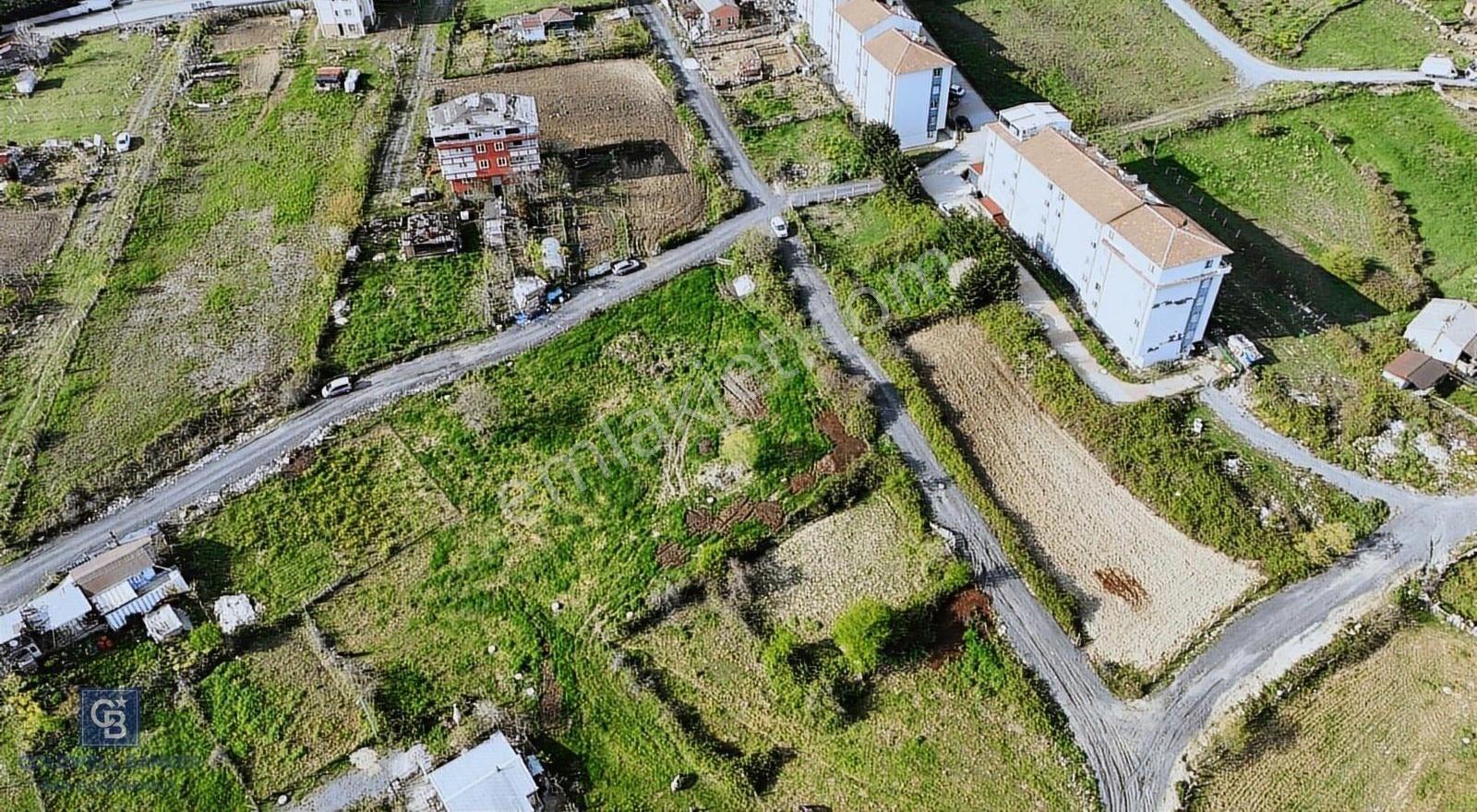 Taşoluk Türkköşe'de Yatırıma Uygun İmarlı Arsa