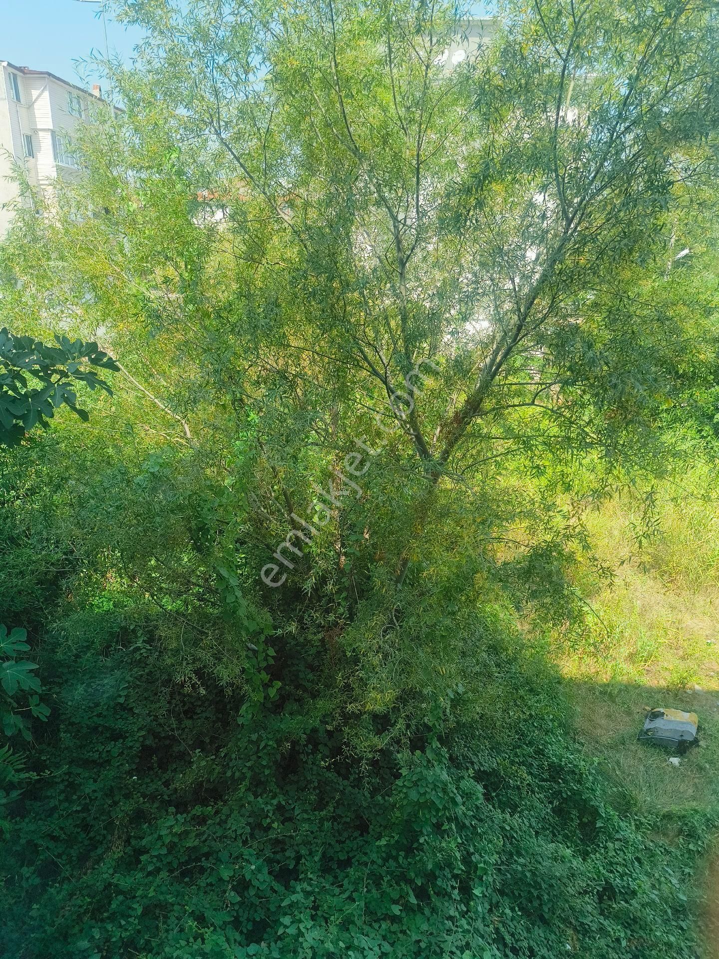 Gümüş Cayda Sattılık Arsa