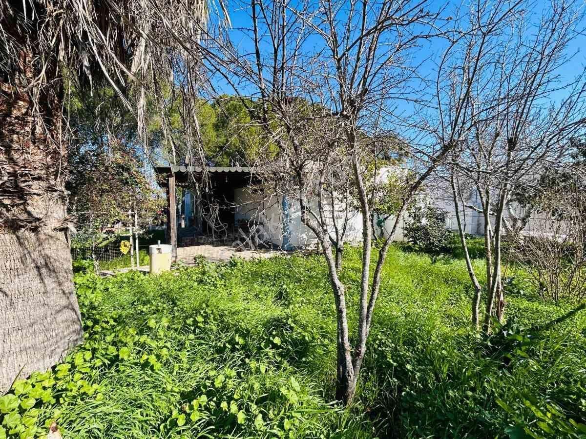 Didim Gaye 2 Sitesinde Kiralık 2+1 Tam Müstakil Tek Katlı Villa