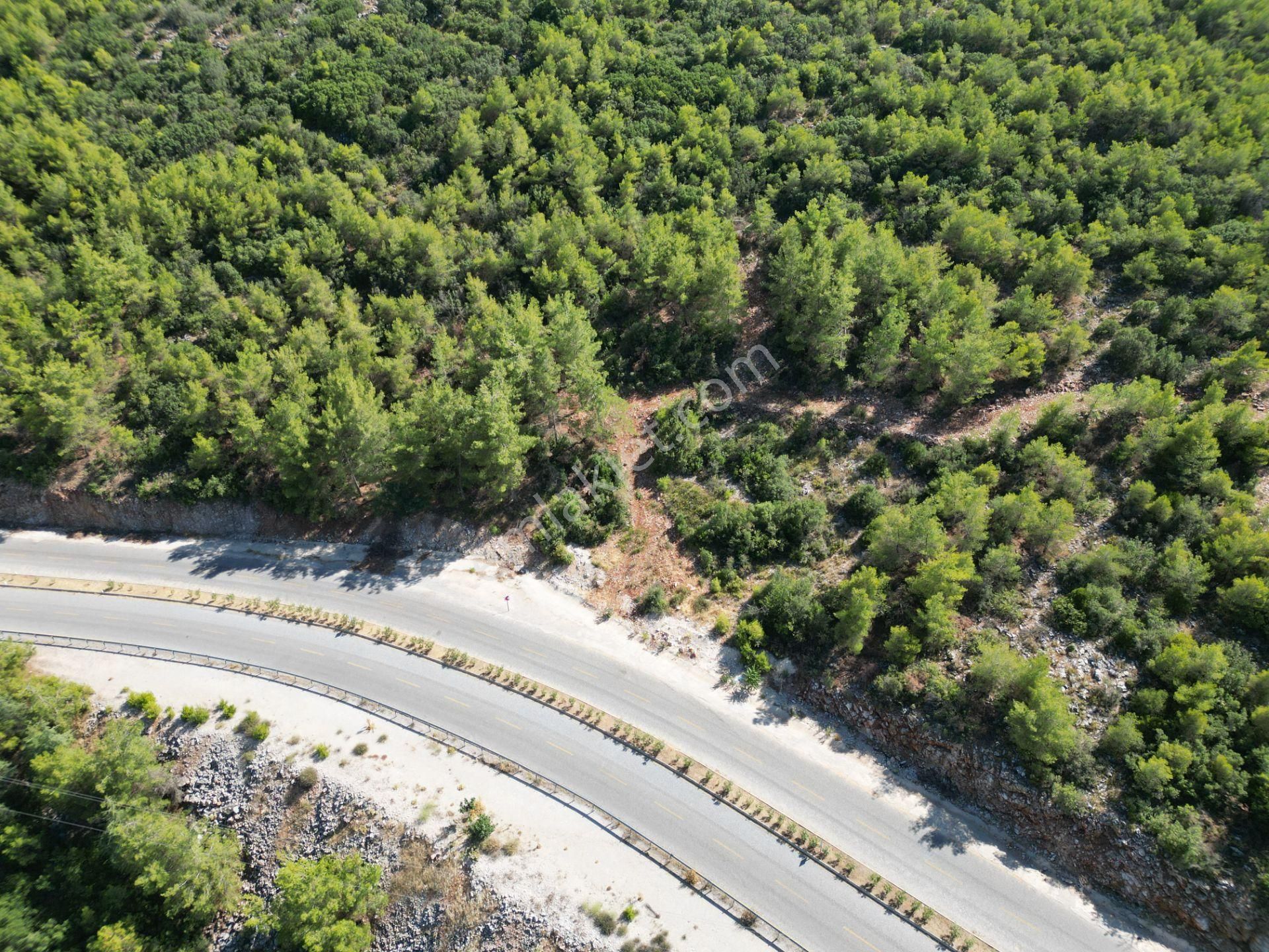 Muğla Akkaya'da Satılık Tarla