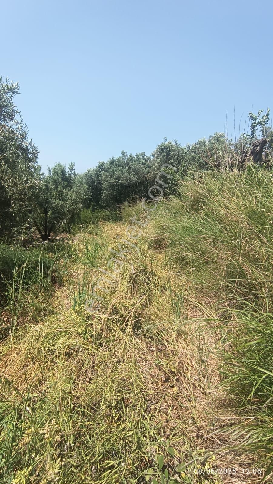 Balıkesir Erdek Hamamlı Mah. 878 M2 Satılık Zeytinlik Resmi Yola Cepheli - Görsel 24