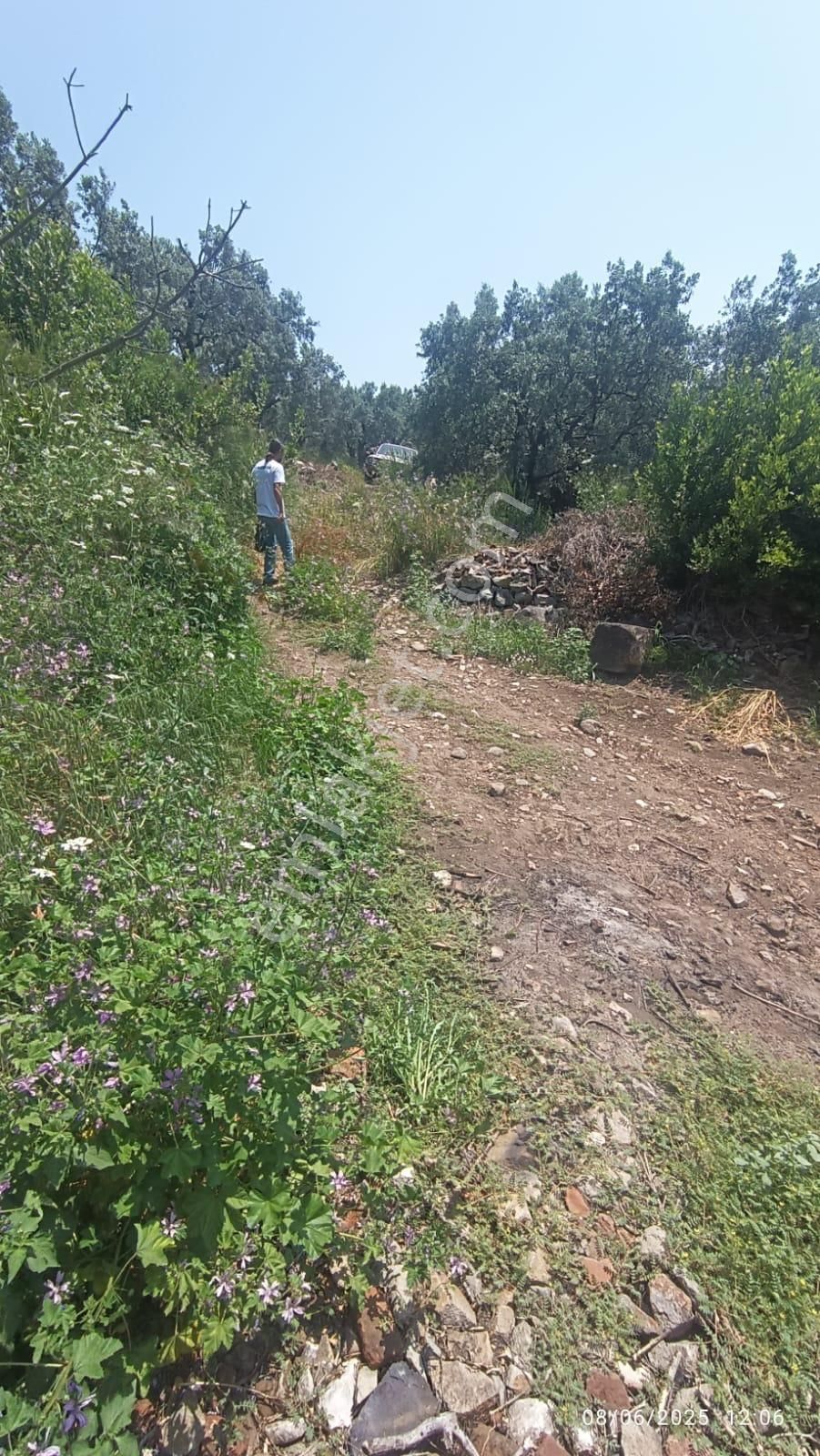 Balıkesir Erdek Hamamlı Mah. 878 M2 Satılık Zeytinlik Resmi Yola Cepheli - Görsel 25