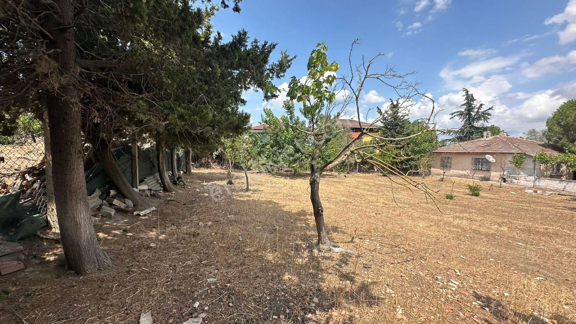 Başokur'dan Silivri Alipaşa,da 1081. 2 Adet Villa İmarlı Arsa - Görsel 24