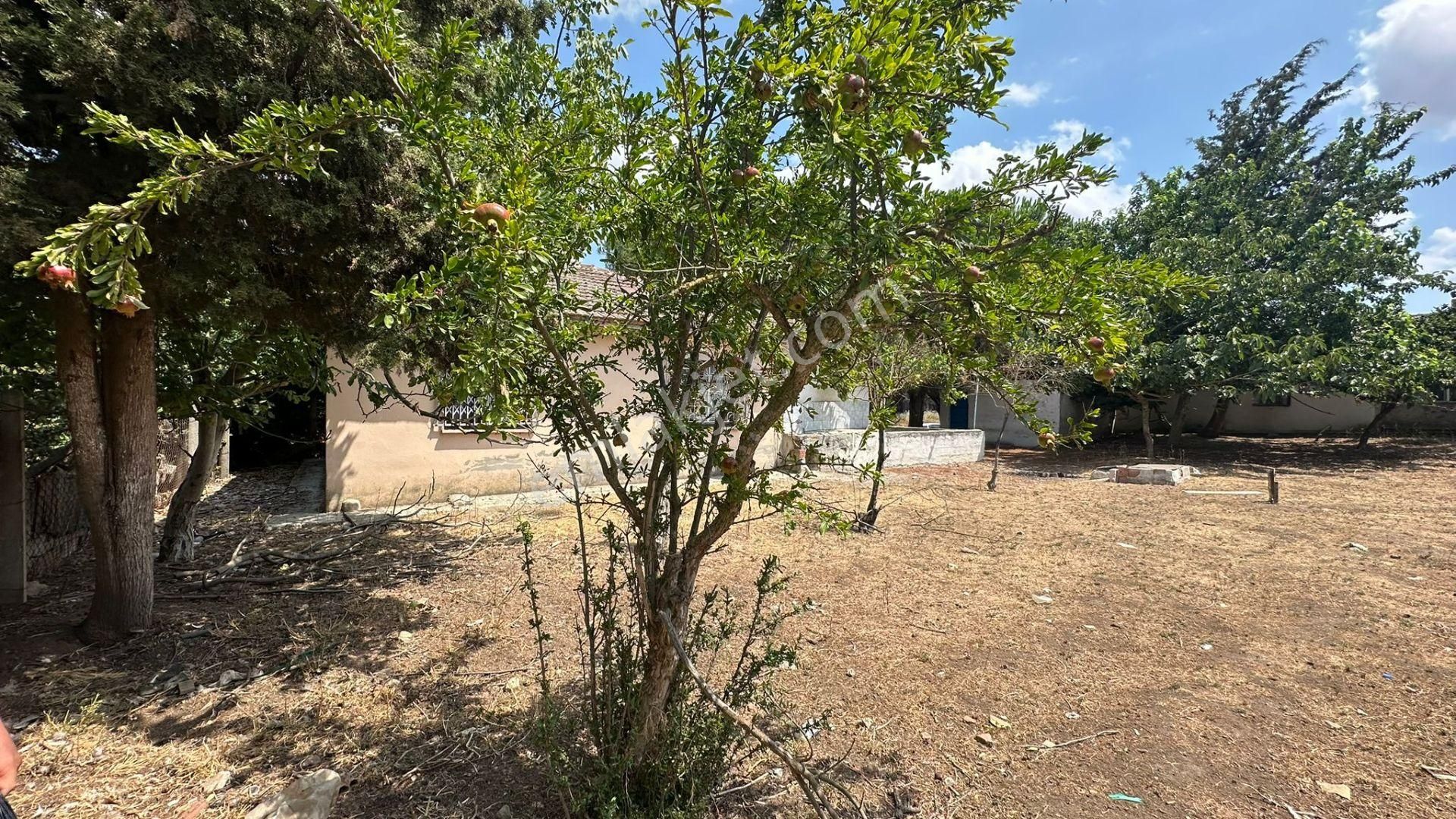 Başokur'dan Silivri Alipaşa,da 1081. 2 Adet Villa İmarlı Arsa - Görsel 16
