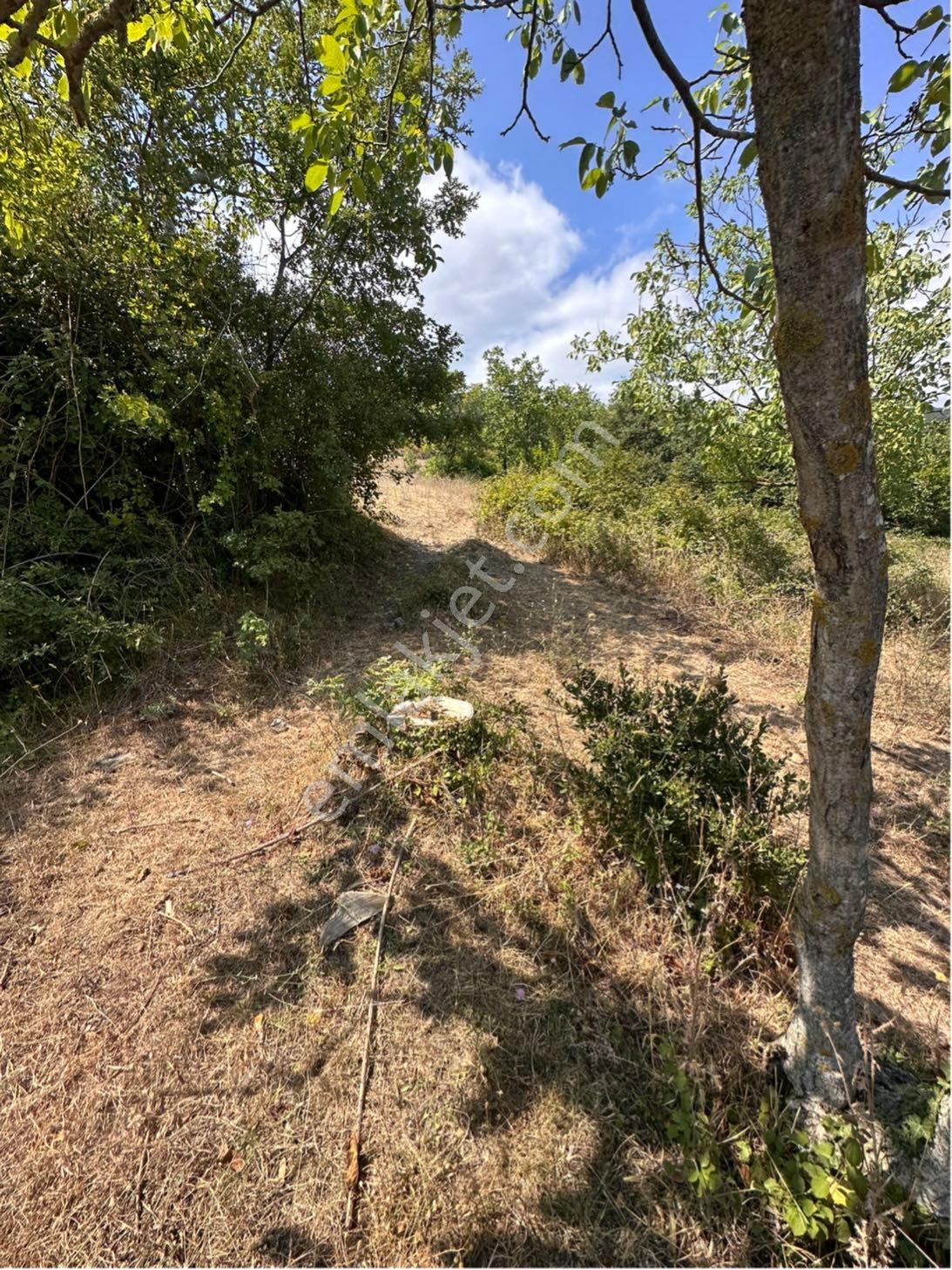Geyve Akıncı 2085 M2 Yol Kenarı Arazi - Görsel 6