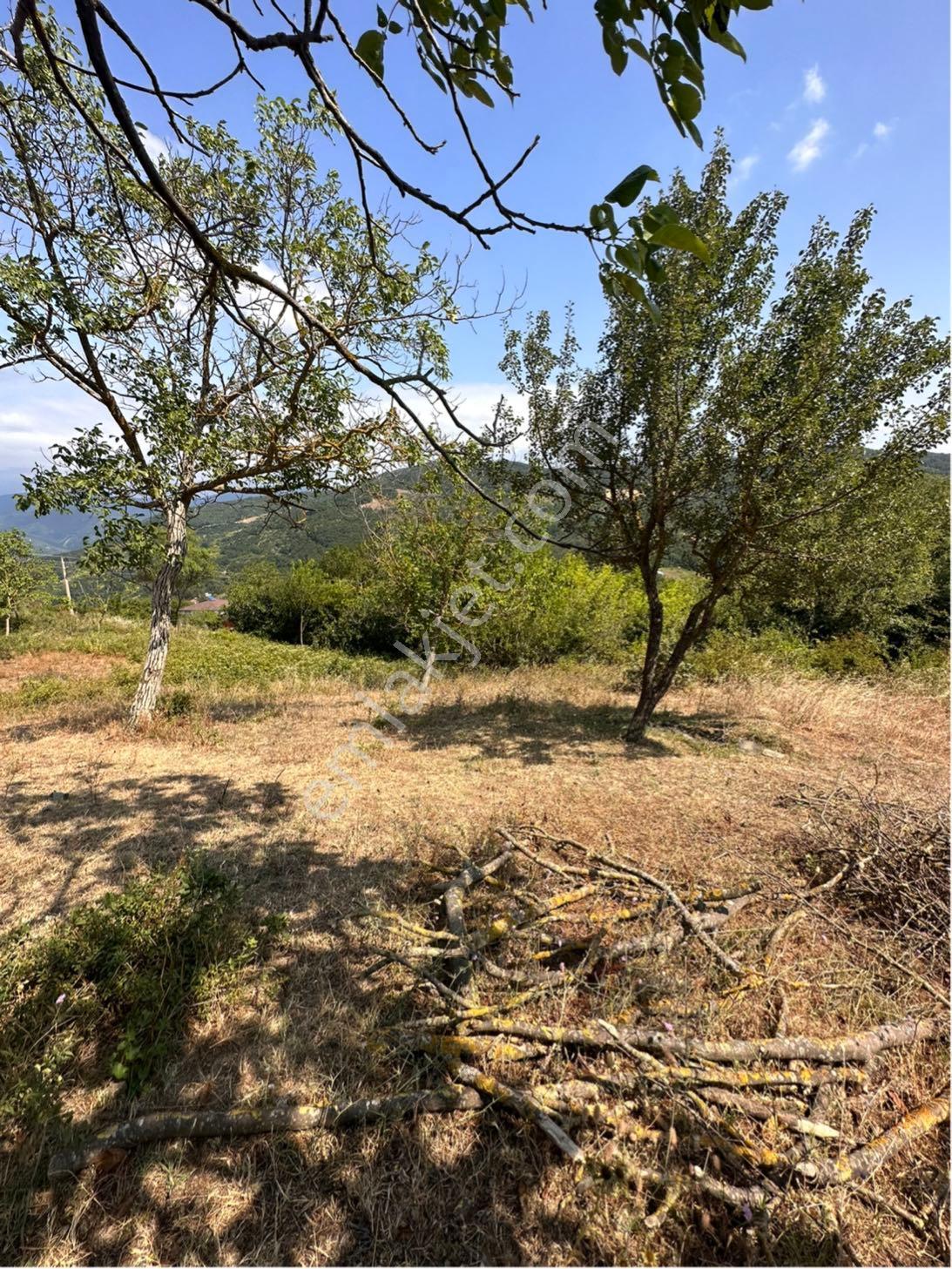 Geyve Akıncı 2085 M2 Yol Kenarı Arazi - Görsel 8