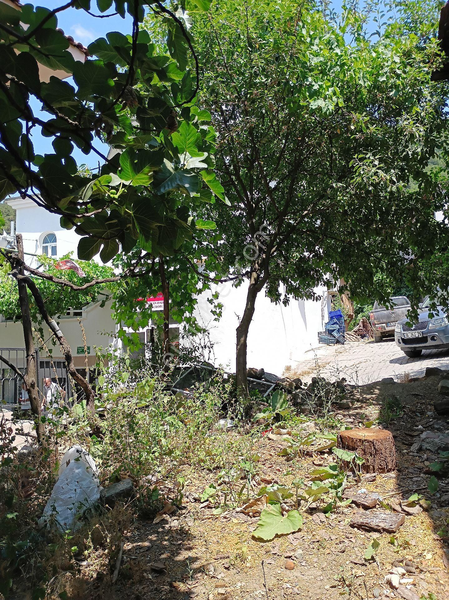 Osmangazi Gökçeören De Satılık Bahçeli Müstakil Ev. - Görsel 5