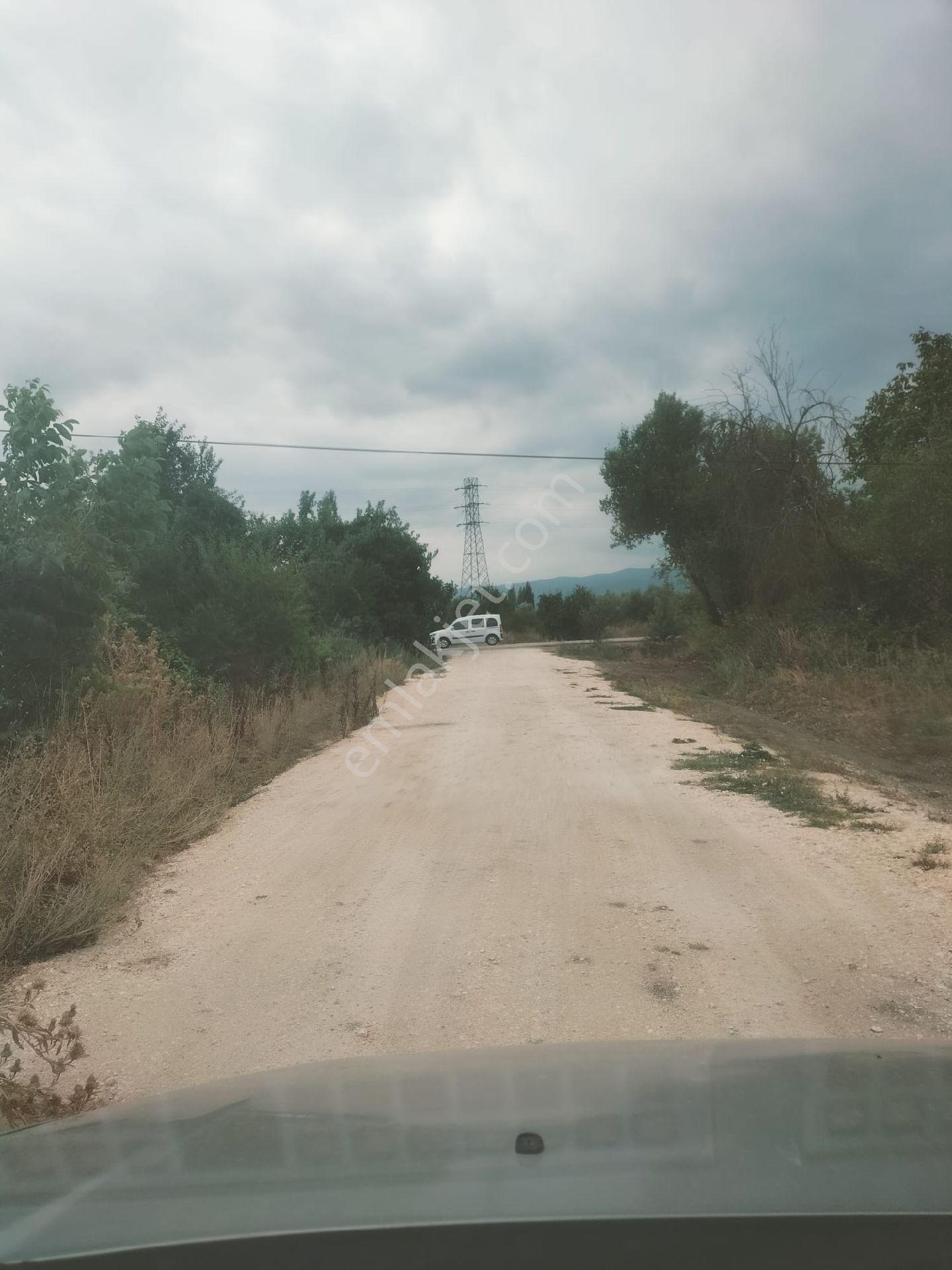 Orhangazi De Kaçırılmayacak Fiyata Zeytinlik - Görsel 4