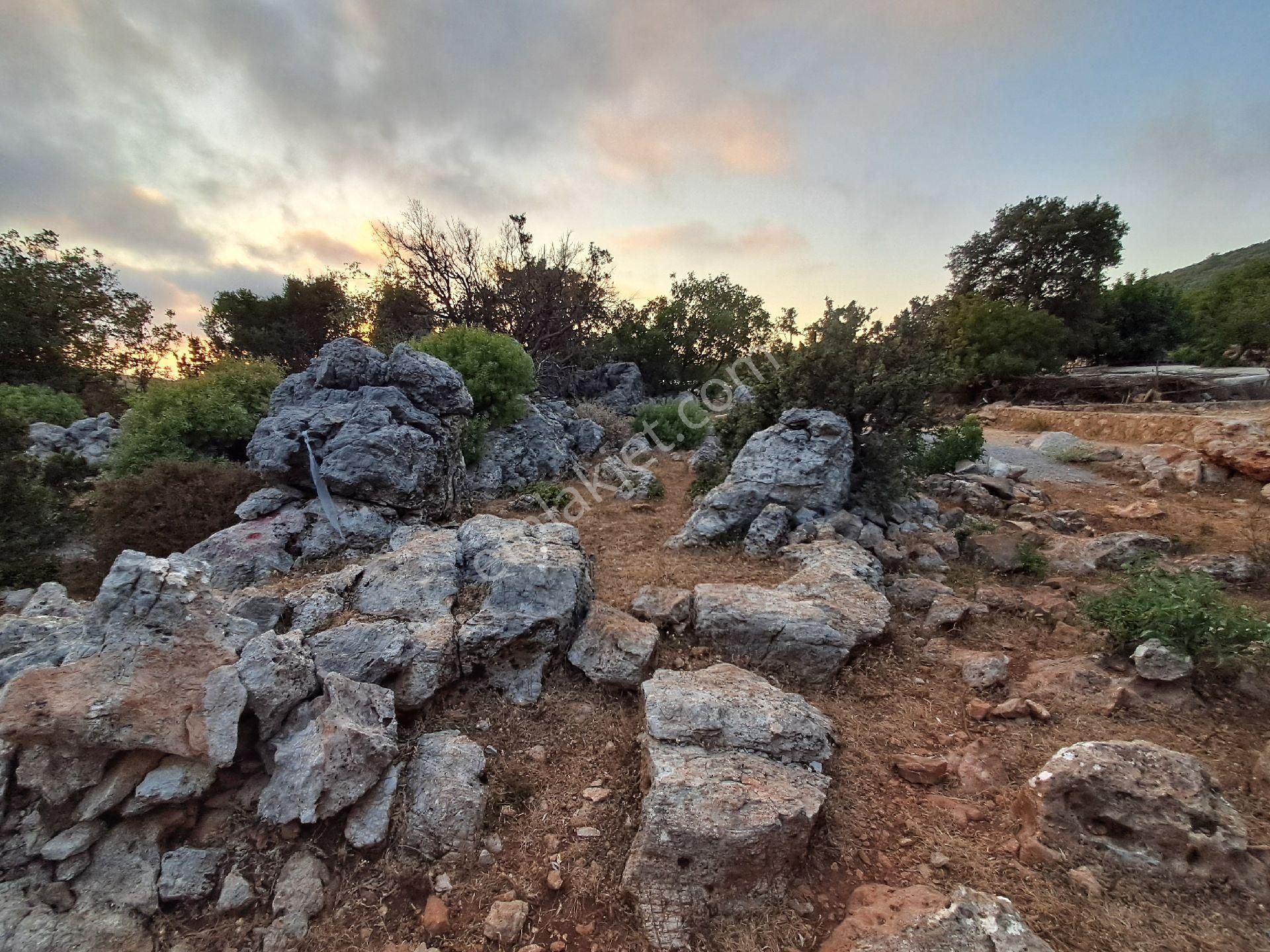 465 M² Orhan Köy Yerimiz Satılıktır - Görsel 2