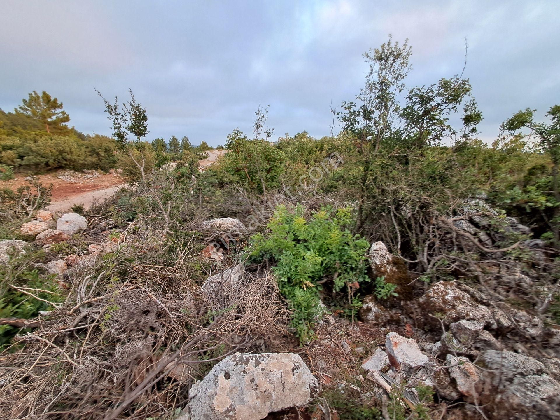 465 M² Orhan Köy Yerimiz Satılıktır - Görsel 11