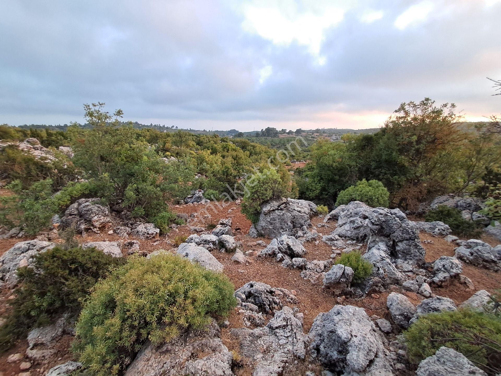 465 M² Orhan Köy Yerimiz Satılıktır - Görsel 7