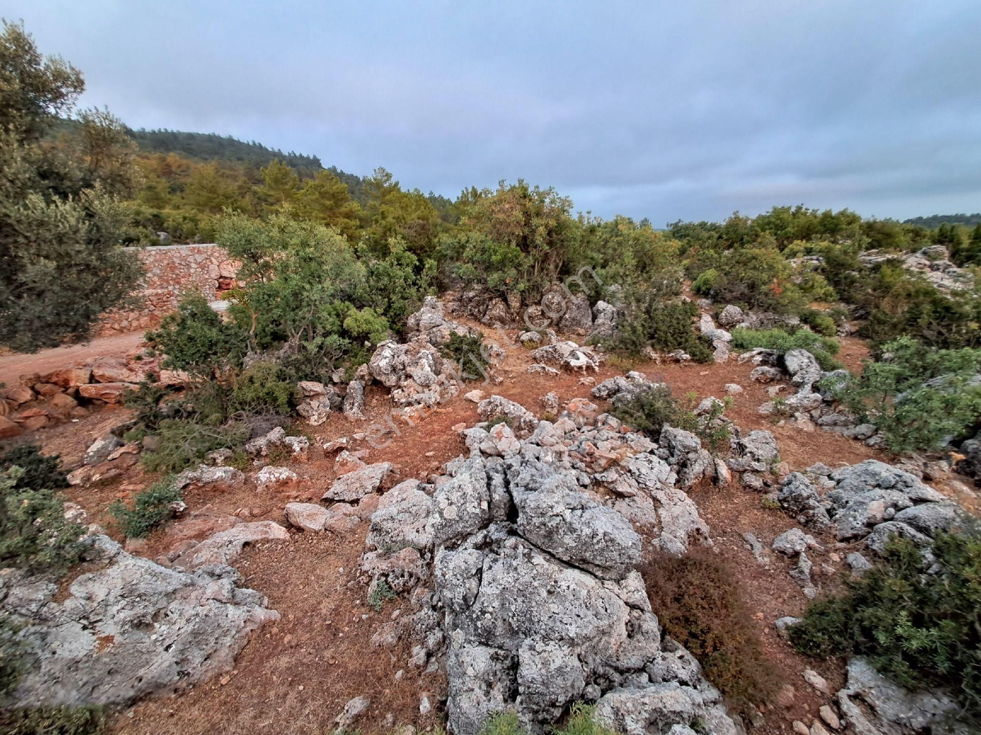 465 M² Orhan Köy Yerimiz Satılıktır - Görsel 6