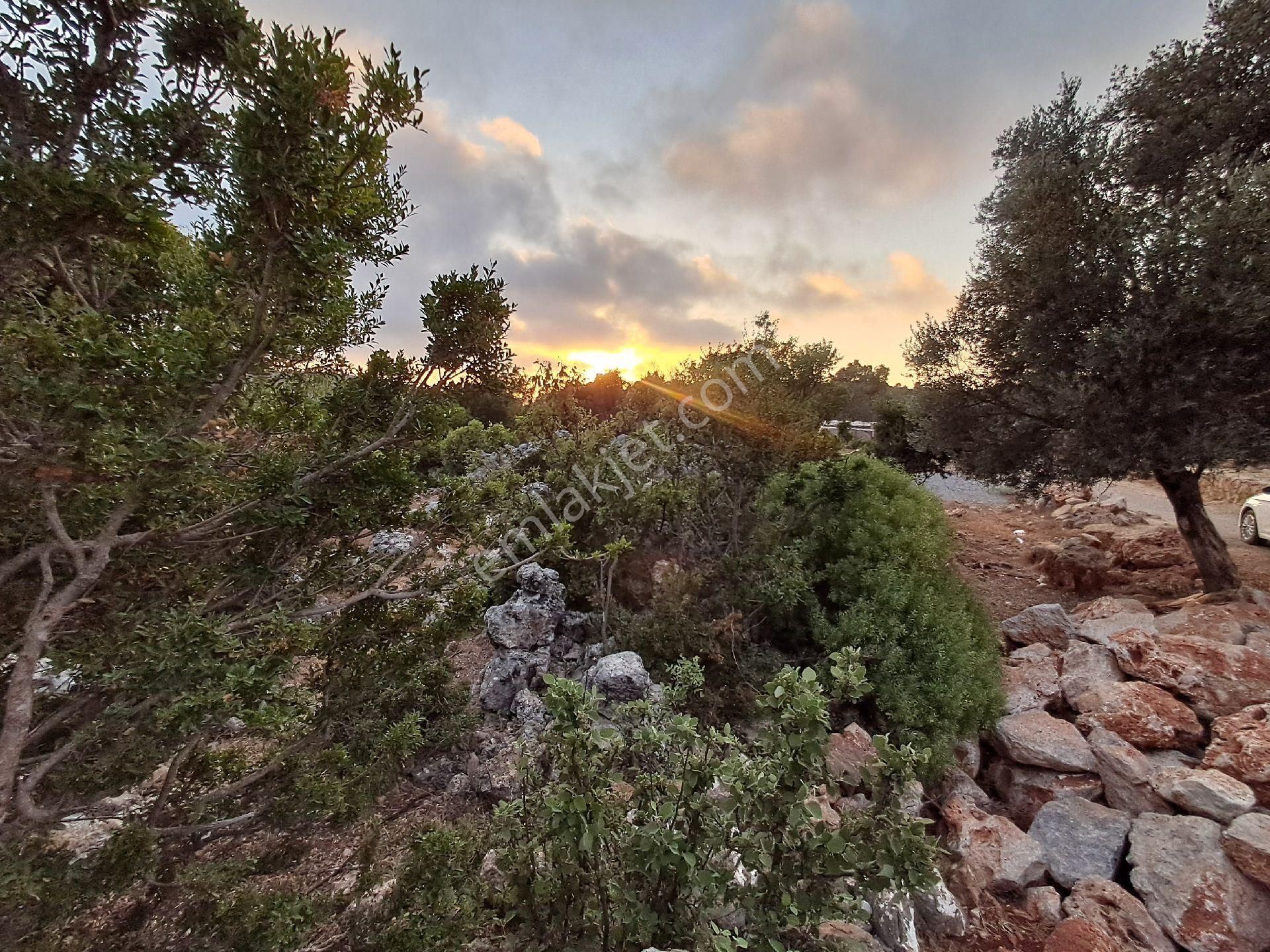 465 M² Orhan Köy Yerimiz Satılıktır - Görsel 12