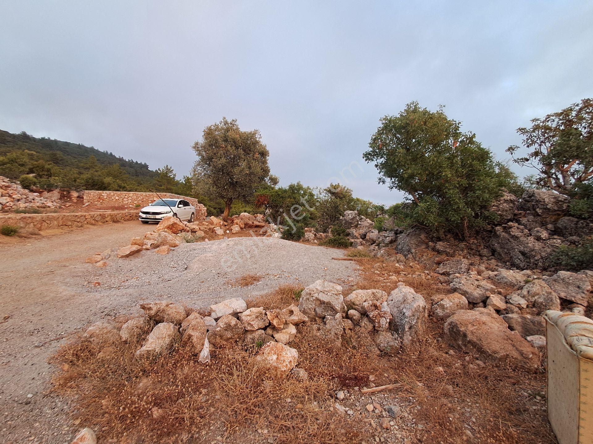 465 M² Orhan Köy Yerimiz Satılıktır - Görsel 5