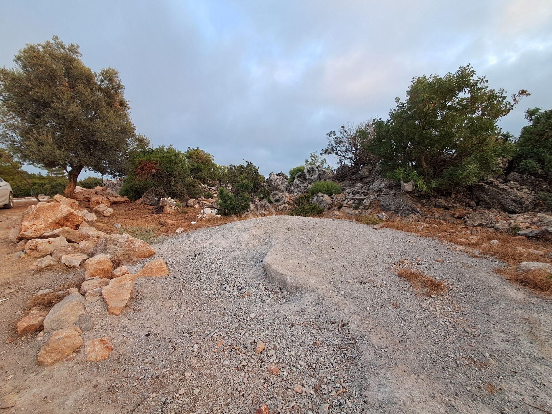 465 M² Orhan Köy Yerimiz Satılıktır - Görsel 9