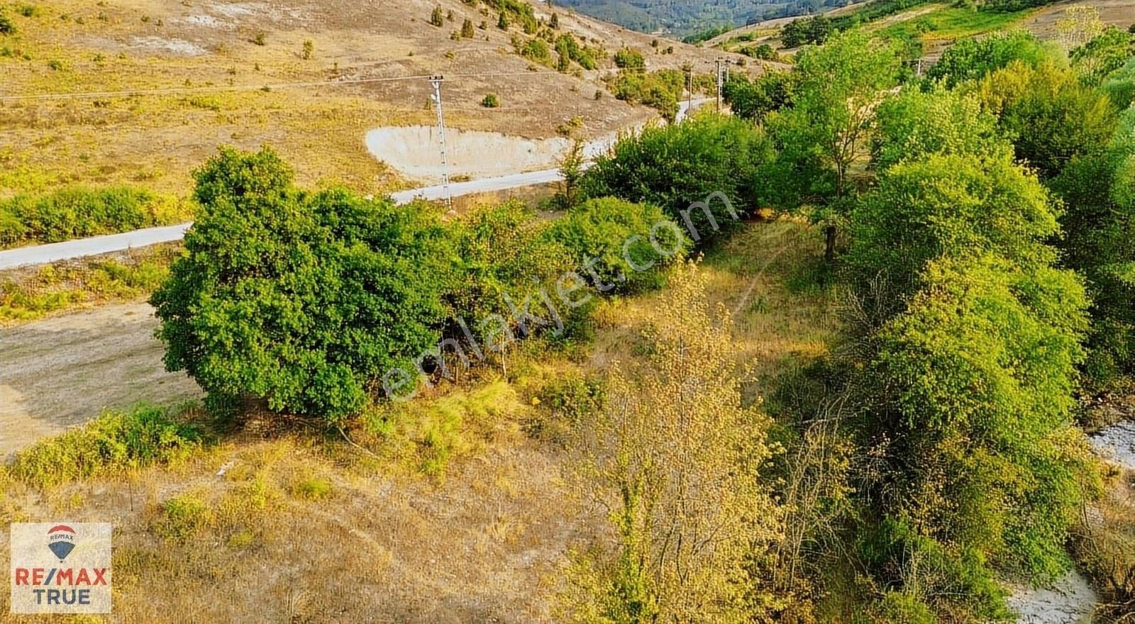 Bulduk'ta Asfalt Yola Cephe Doğayla İç İçe Eşsiz Fırsat
