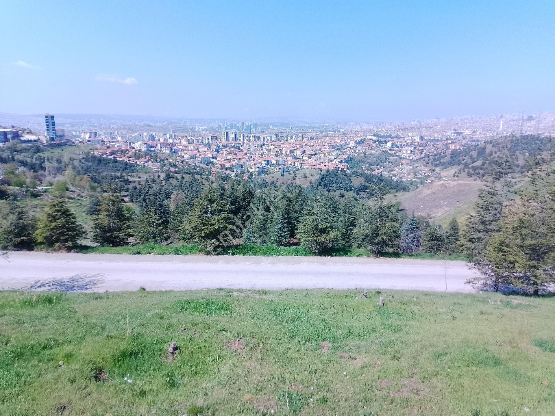 202m2, 2 Villalık, Ankara Manzaralı, Yeşil Alanda Sahibinden