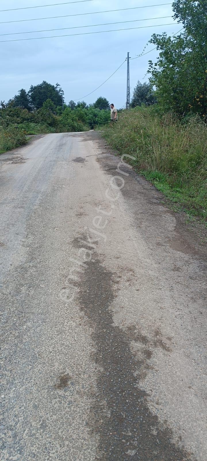 Tirebolu Arageriş Köyü Satılık Arsa - Görsel 2