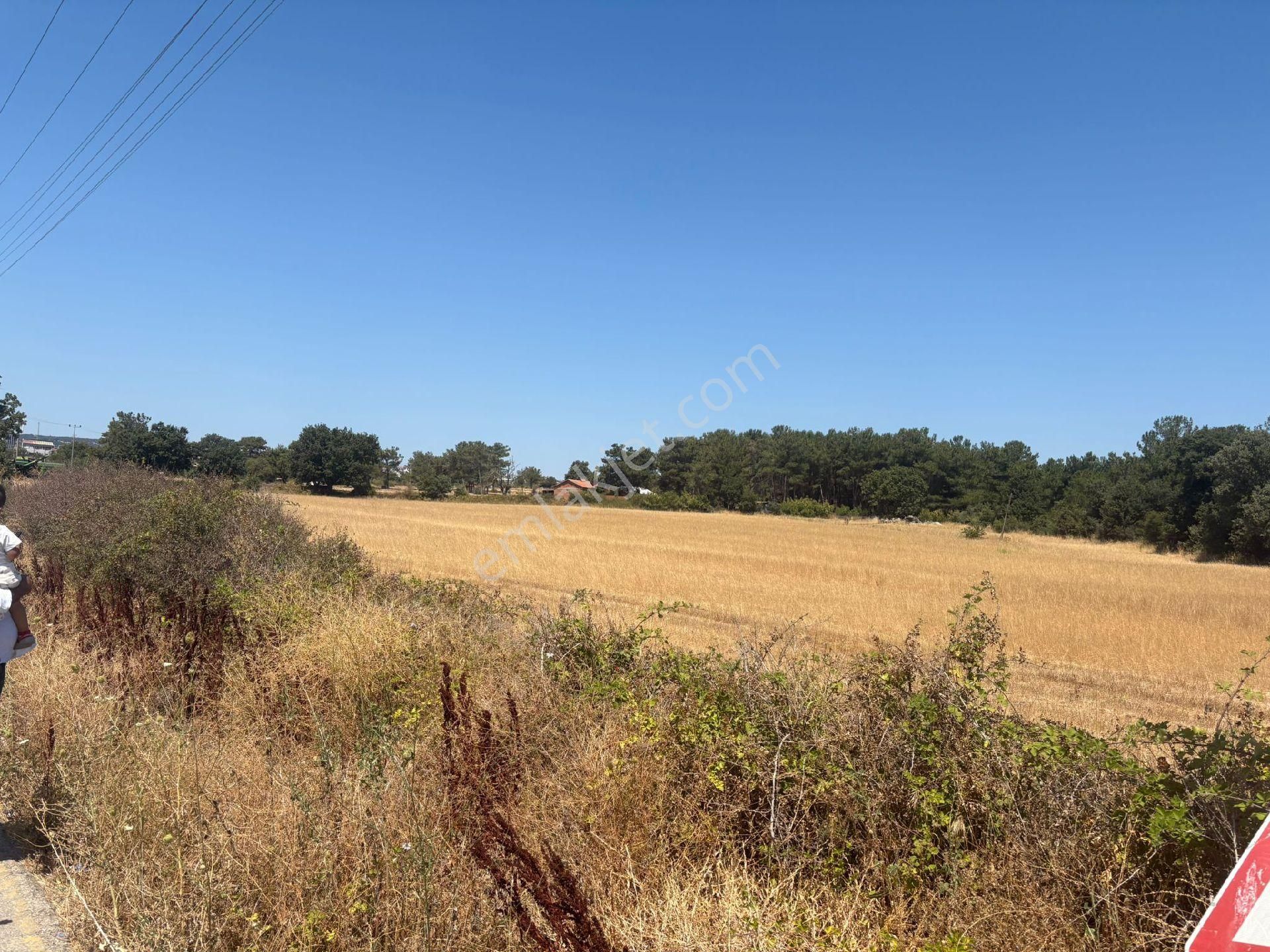 Nisa Emlak Tan Satılık 19 Dönüm Tarla Ayvacık'ta - Görsel 9