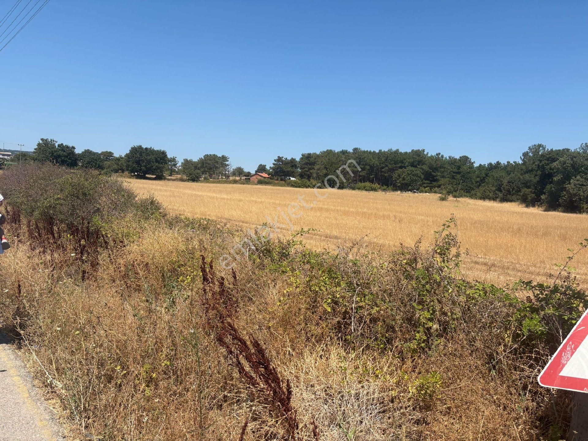 Nisa Emlak Tan Satılık 19 Dönüm Tarla Ayvacık'ta - Görsel 6