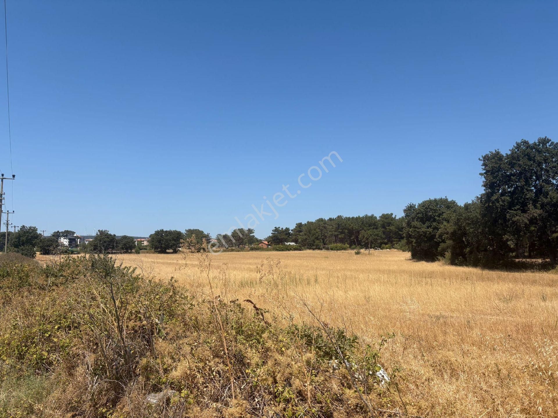 Nisa Emlak Tan Satılık 19 Dönüm Tarla Ayvacık'ta - Görsel 3