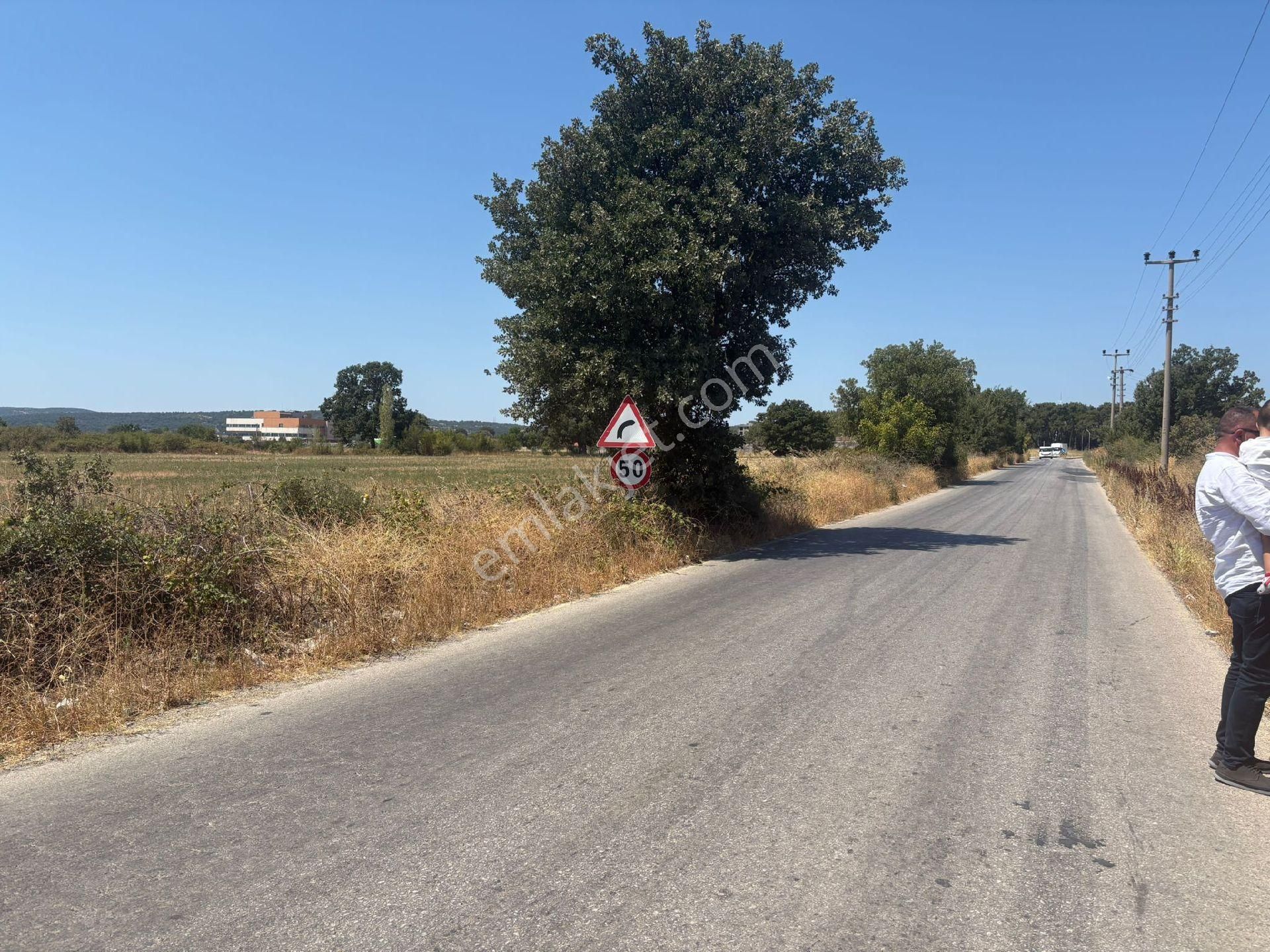 Nisa Emlak Tan Satılık 19 Dönüm Tarla Ayvacık'ta