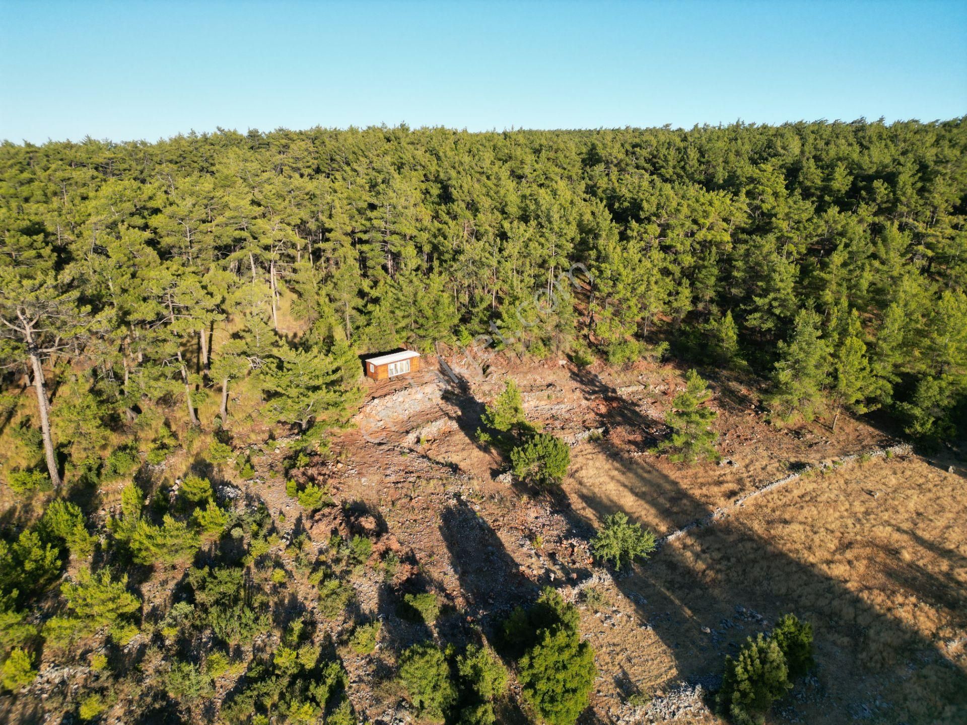 Muğla Kıran'da Satılık Tiny Houselu Tarla