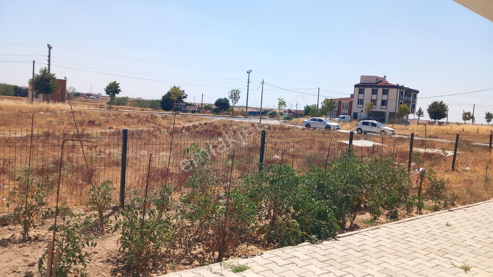 Evcom Emlak Tan 1+1 Amerikan Mutfak Ful Eşyalı Kiralık