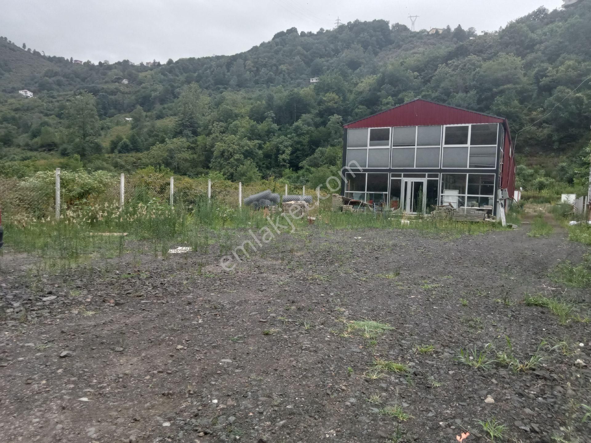 Şalpazarı Anayol Üzerinde İşyeri Depo - Görsel 8