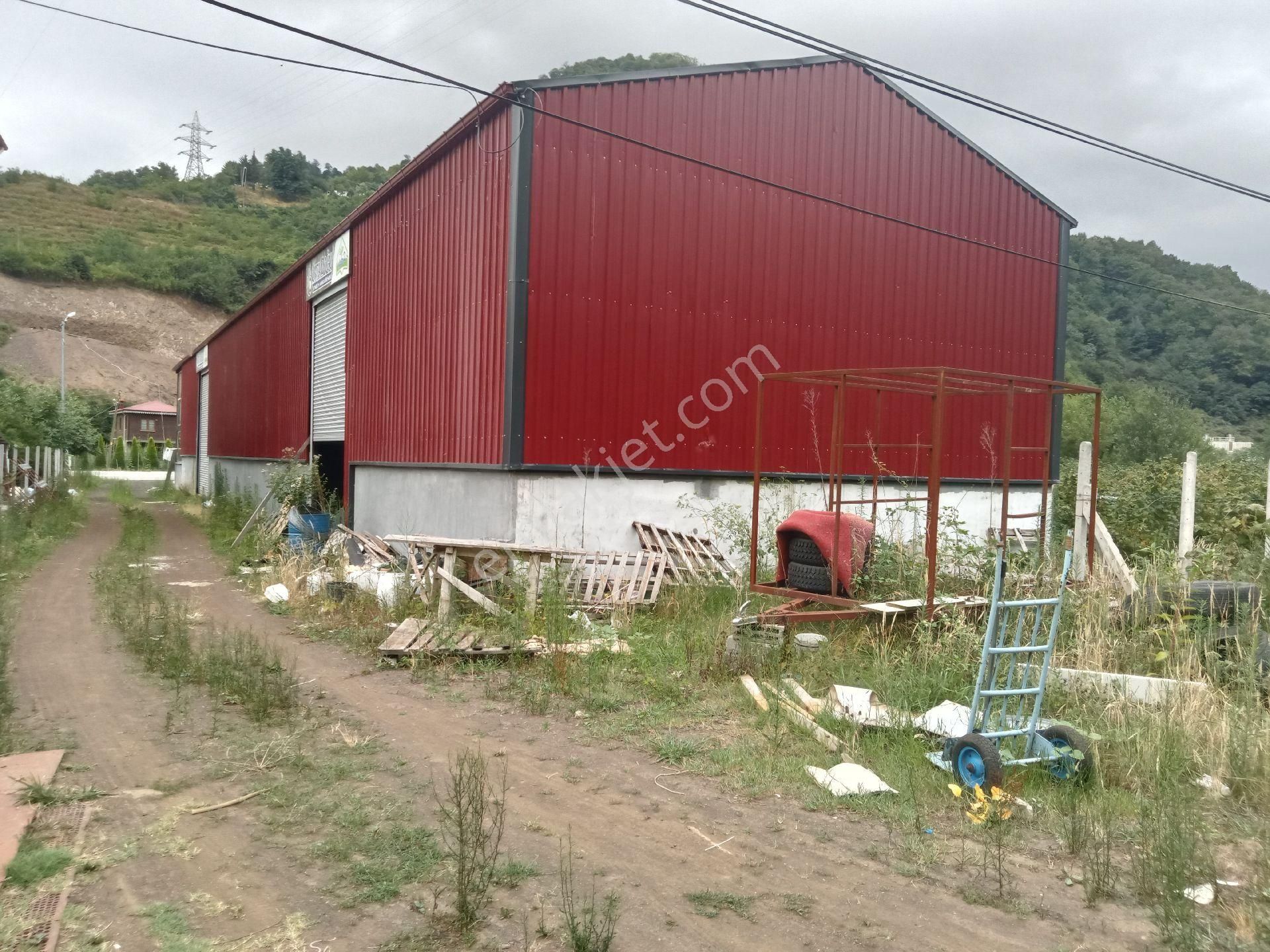 Şalpazarı Anayol Üzerinde İşyeri Depo - Görsel 10