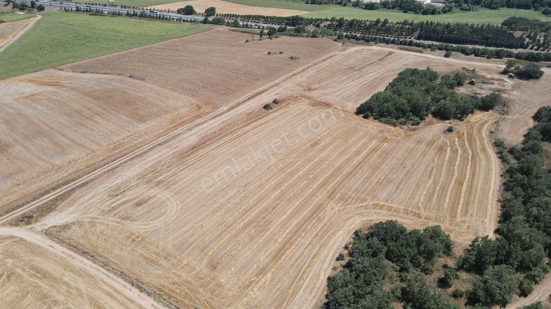 Premar'dan Satılık Muratbey Mahallesi Müstakil Tapu 8.000 M2