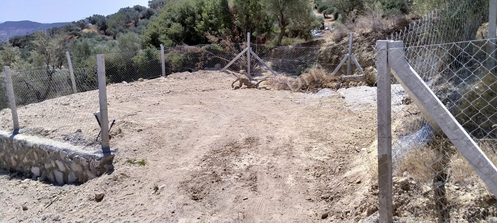 İzmir Torbalı Gold Emlaktan Satılık Tarla Ve Zeytinlik. - Görsel 11