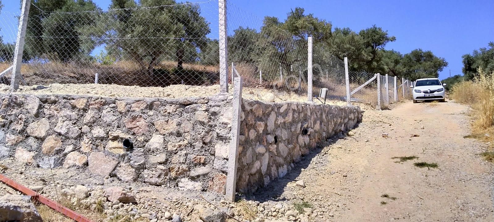 İzmir Torbalı Gold Emlaktan Satılık Tarla Ve Zeytinlik. - Görsel 16