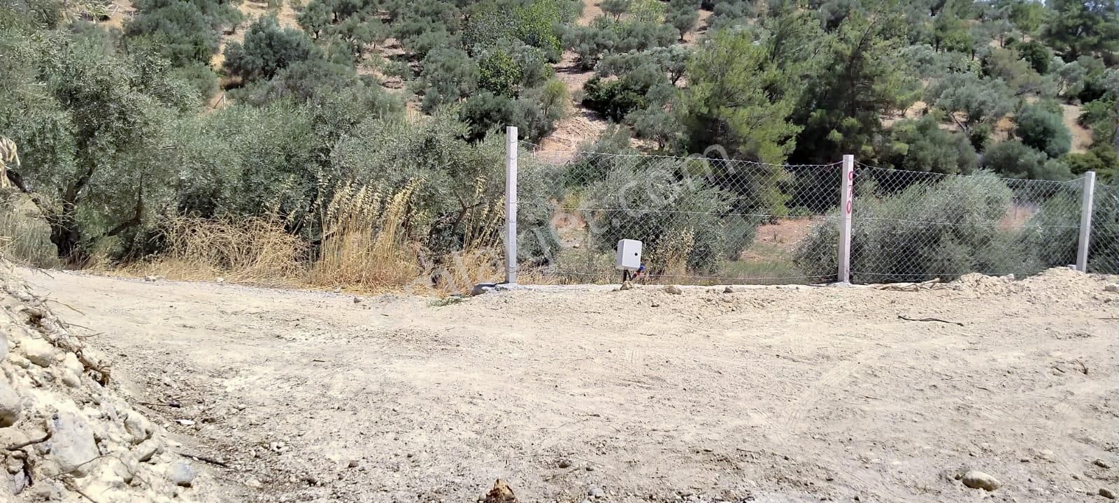 İzmir Torbalı Gold Emlaktan Satılık Tarla Ve Zeytinlik. - Görsel 7