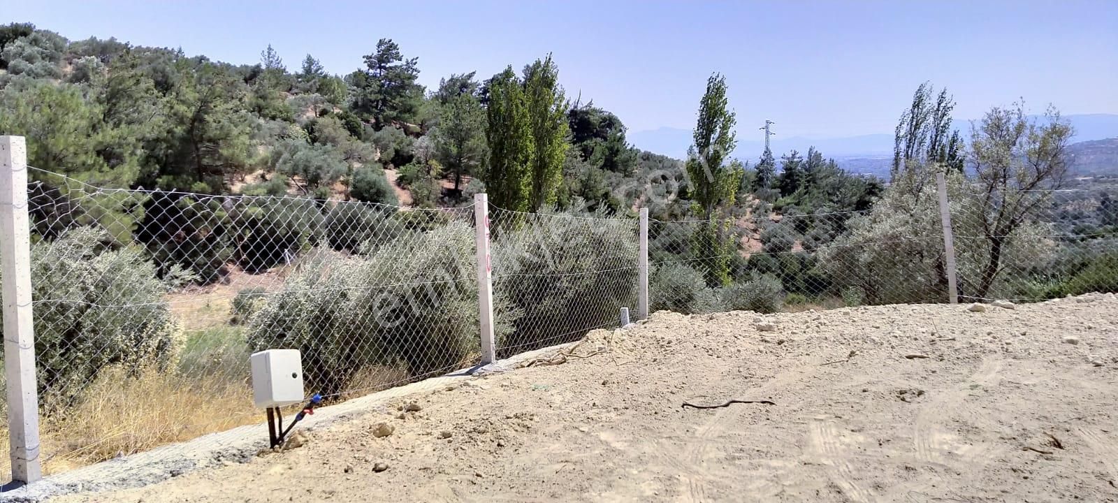 İzmir Torbalı Gold Emlaktan Satılık Tarla Ve Zeytinlik. - Görsel 15