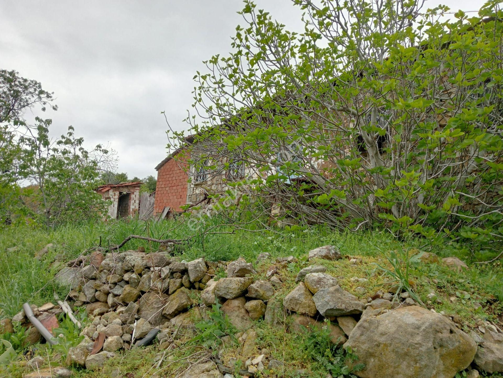 Durmuşlarda 862 M2 Bahçe İçinde Müstakil Ev - Görsel 13