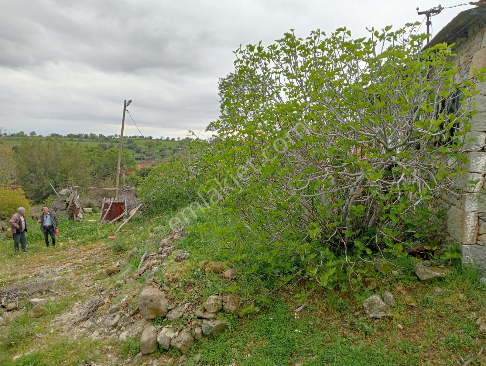 Durmuşlarda 862 M2 Bahçe İçinde Müstakil Ev - Görsel 12