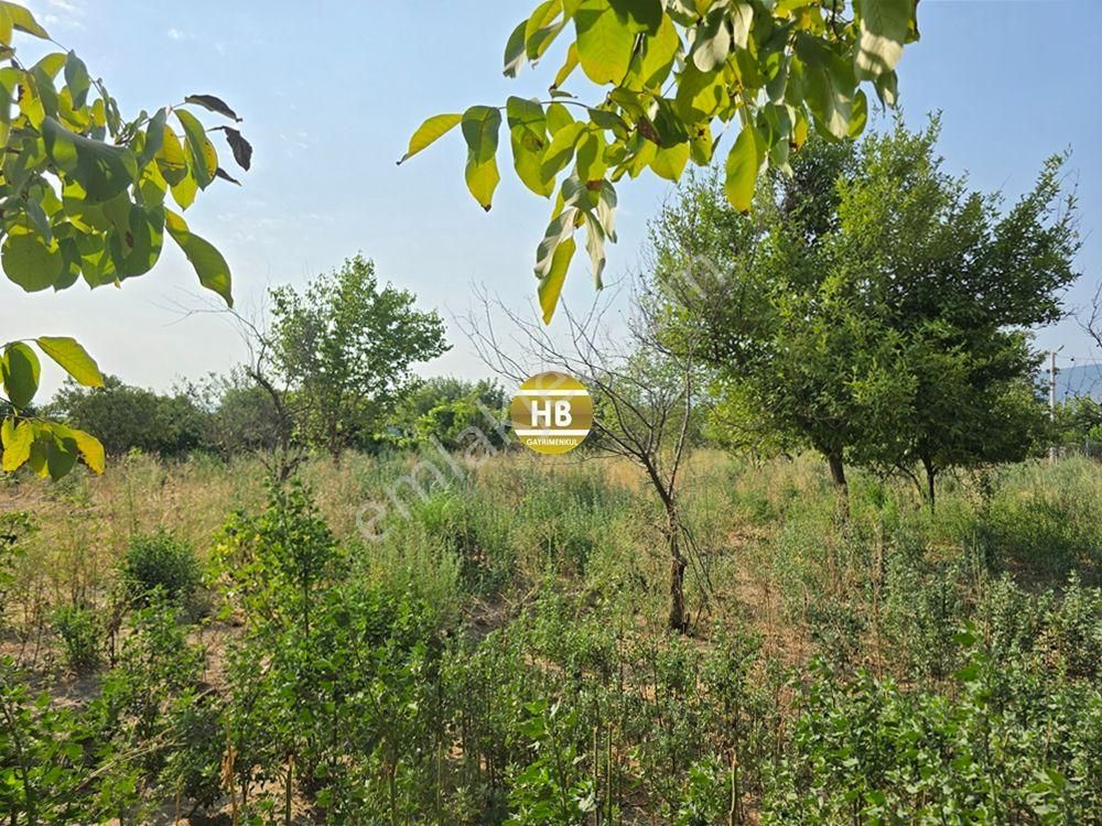 Hb'den Satılık Müstakil Ev, 3300 M² Arsa, Geniş Teras Ve Bahçe Kullanımı, Mükemmel Yatırım Fırsatı - Görsel 10
