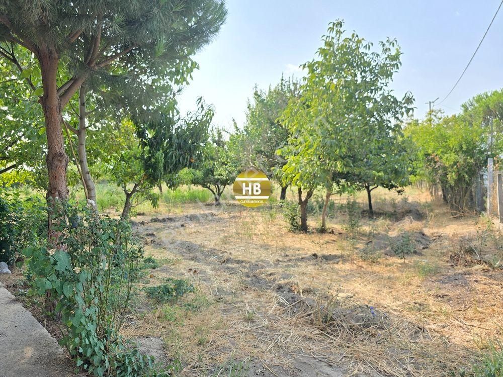 Hb'den Satılık Müstakil Ev, 3300 M² Arsa, Geniş Teras Ve Bahçe Kullanımı, Mükemmel Yatırım Fırsatı - Görsel 9