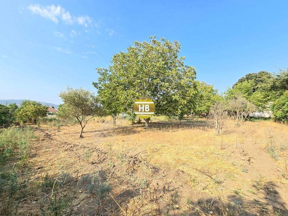 Hb'den Satılık Müstakil Ev, 3300 M² Arsa, Geniş Teras Ve Bahçe Kullanımı, Mükemmel Yatırım Fırsatı - Görsel 14