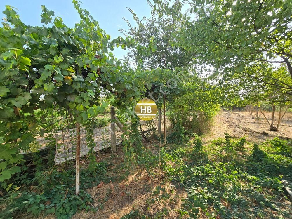 Hb'den Satılık Müstakil Ev, 3300 M² Arsa, Geniş Teras Ve Bahçe Kullanımı, Mükemmel Yatırım Fırsatı - Görsel 13