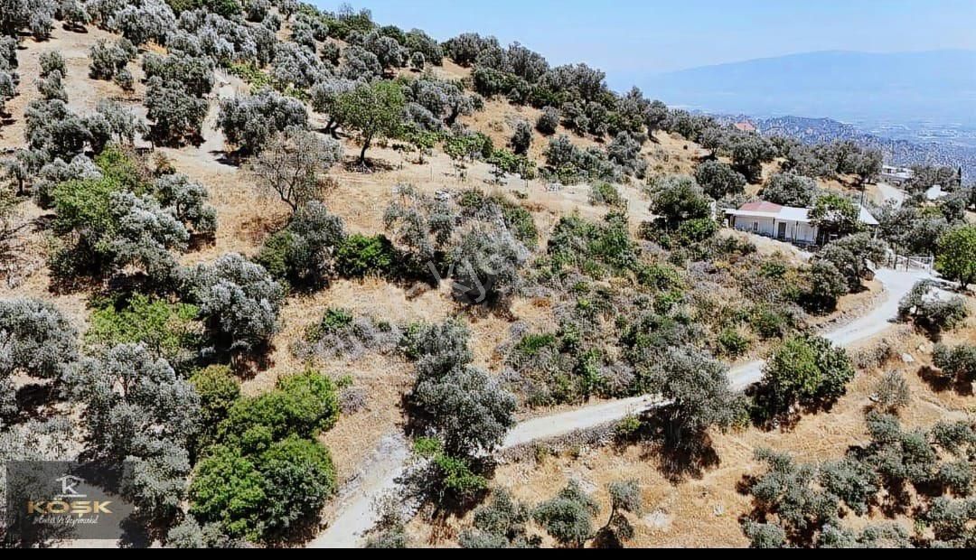 Aydın İli Sultanhisar İlçesinde Tarihi Kavaklı Köyünde Satılık Arsa - Görsel 4