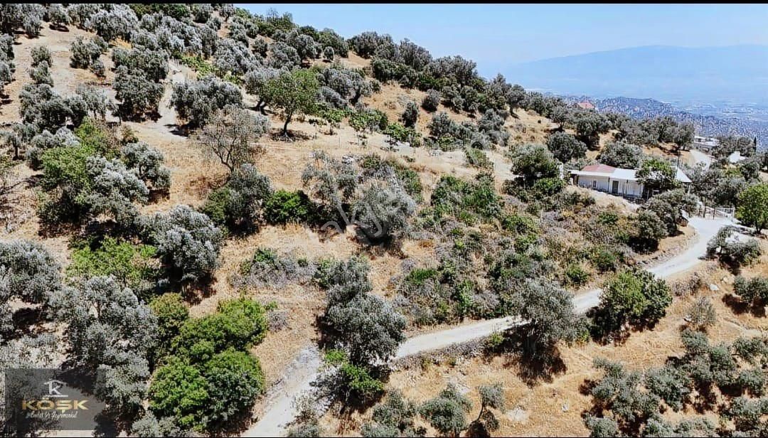 Aydın İli Sultanhisar İlçesinde Tarihi Kavaklı Köyünde Satılık Arsa - Görsel 6